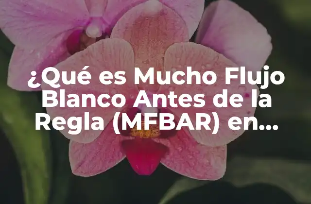 ¿qué es Mucho Flujo Blanco Antes de la Regla (mfbar) en Seo?