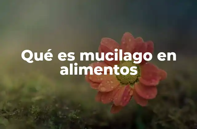 Qué es Mucilago en Alimentos