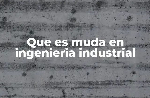 Que es Muda en Ingenieria Industrial