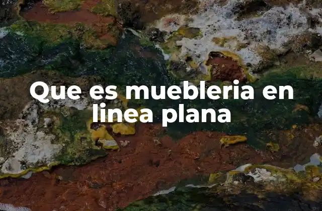 Que es Muebleria en Linea Plana
