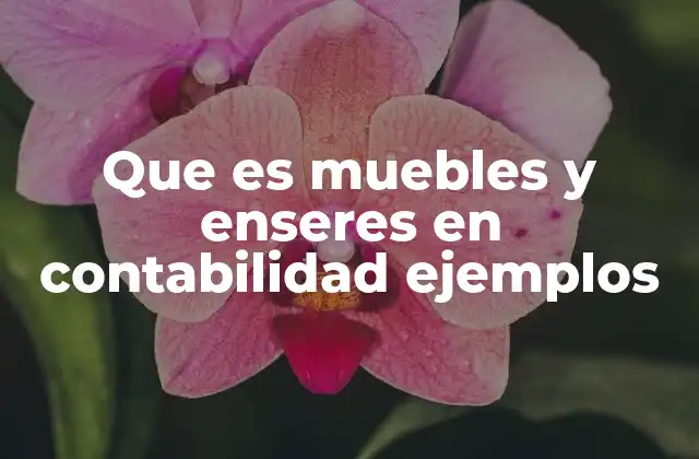 Diferencia entre muebles y enseres en el contexto contable