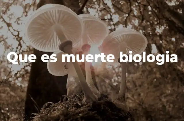 La muerte como parte del ciclo biológico