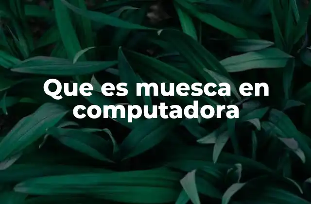 Que es Muesca en Computadora