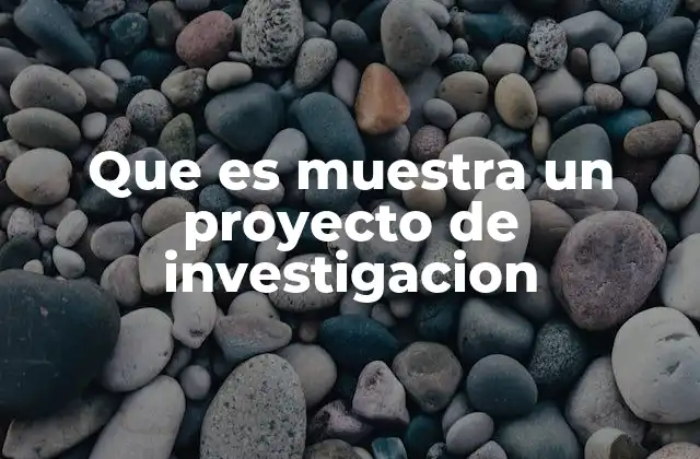 Que es Muestra un Proyecto de Investigacion