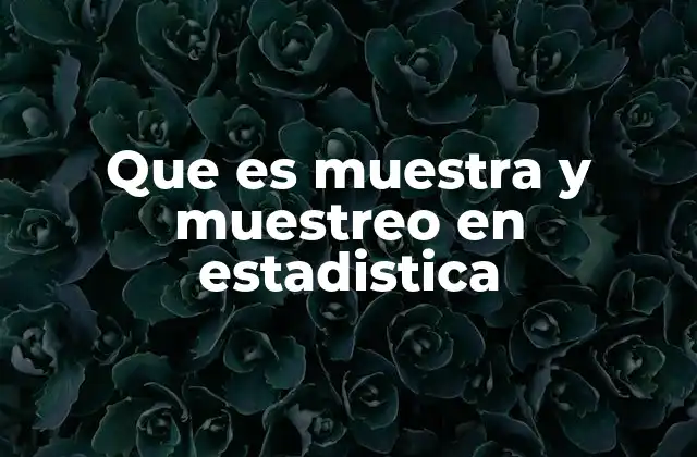 Que es Muestra y Muestreo en Estadistica
