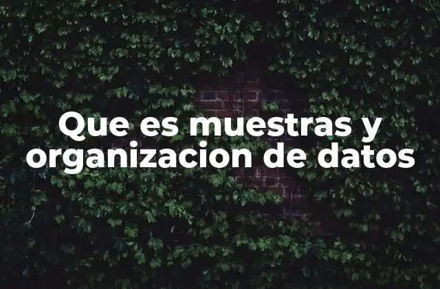 Que es Muestras y Organizacion de Datos