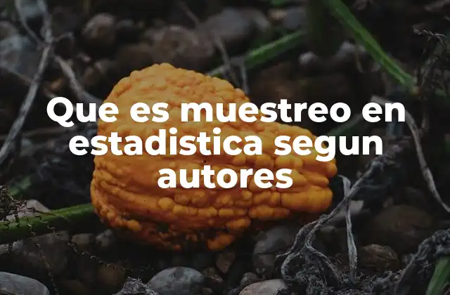 Que es Muestreo en Estadistica Segun Autores