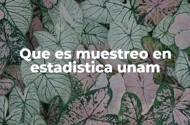 Que es Muestreo en Estadistica Unam