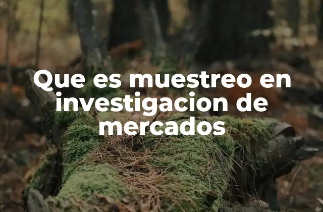 Que es Muestreo en Investigacion de Mercados