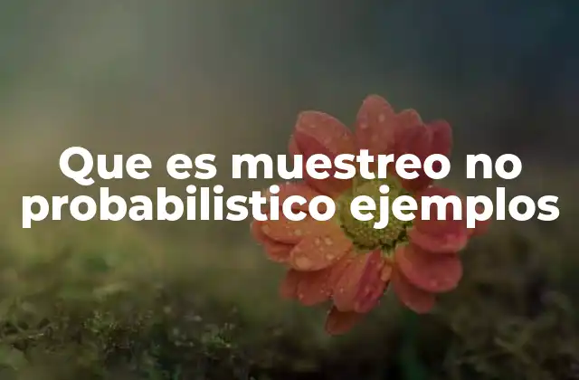 Que es Muestreo No Probabilistico Ejemplos