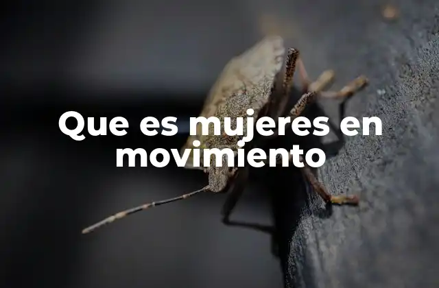 Que es Mujeres en Movimiento