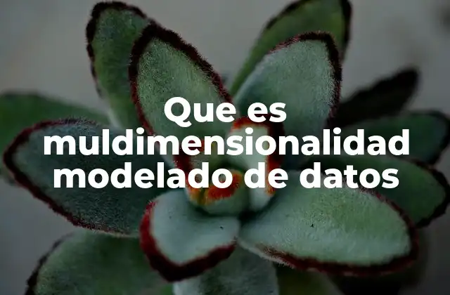 Que es Muldimensionalidad Modelado de Datos