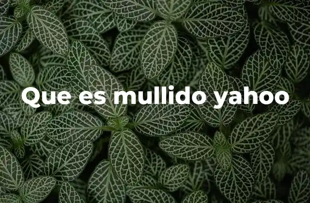 Que es Mullido Yahoo 2 El contexto histórico de Yahoo y su relevancia en internet