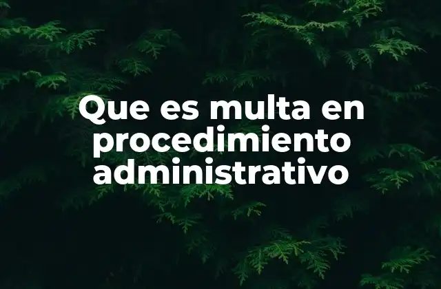 El rol de las multas en el sistema de control administrativo