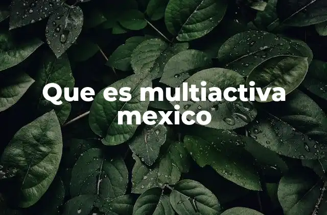 Que es Multiactiva Mexico