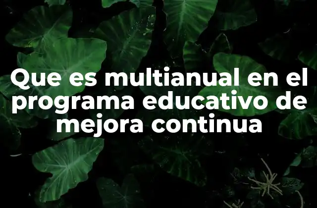 Que es Multianual en el Programa Educativo de Mejora Continua 2 La importancia del enfoque a largo plazo en la educación