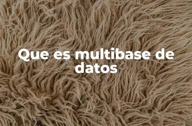 Que es Multibase de Datos