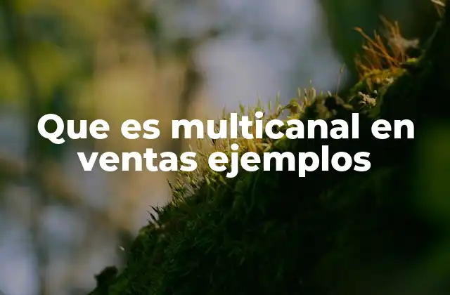 Que es Multicanal en Ventas Ejemplos