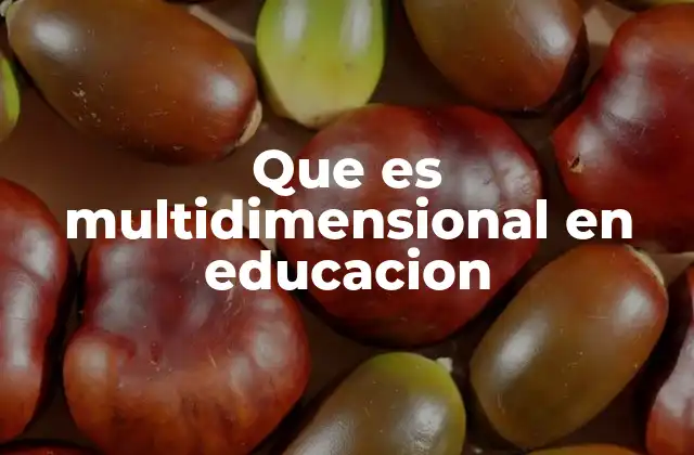 Que es Multidimensional en Educacion