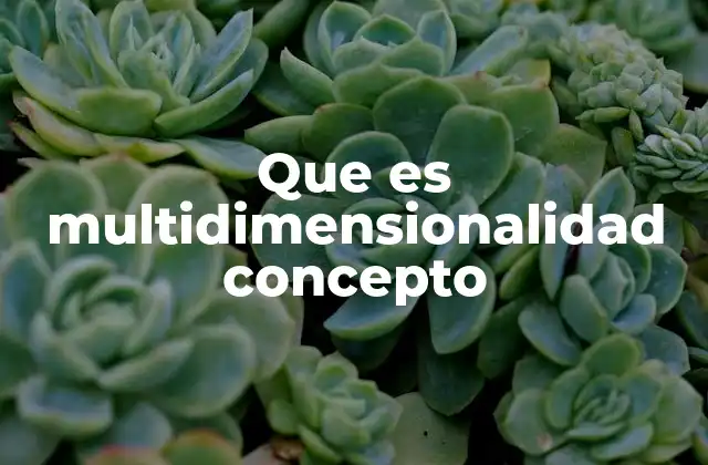 Que es Multidimensionalidad Concepto
