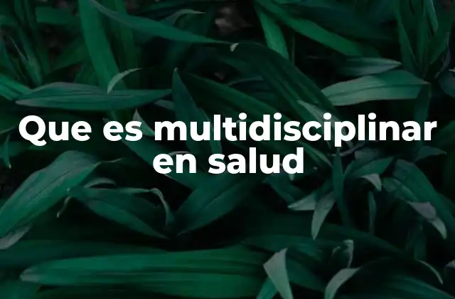 Que es Multidisciplinar en Salud
