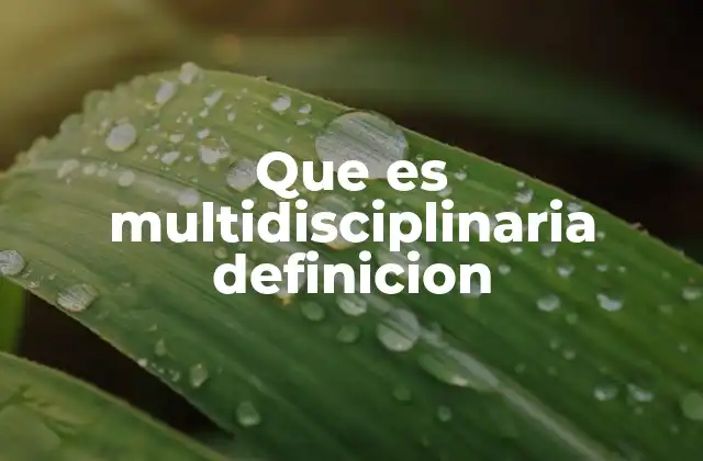 Que es Multidisciplinaria Definicion