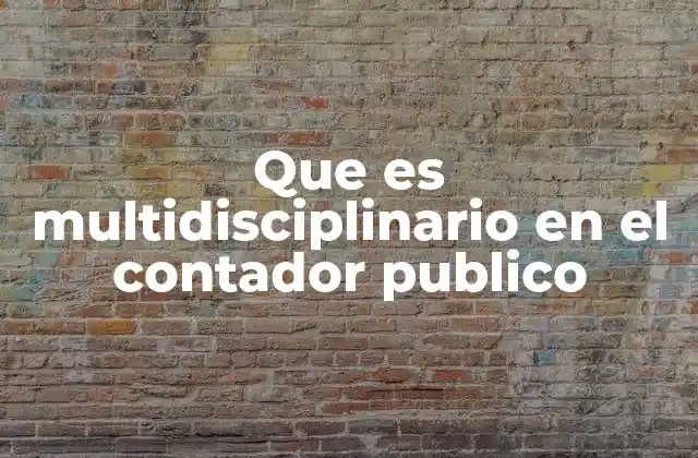Que es Multidisciplinario en el Contador Publico