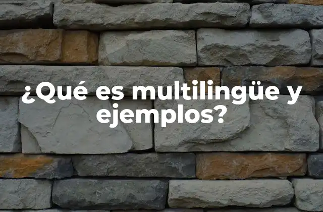 ¿qué es Multilingüe y Ejemplos?