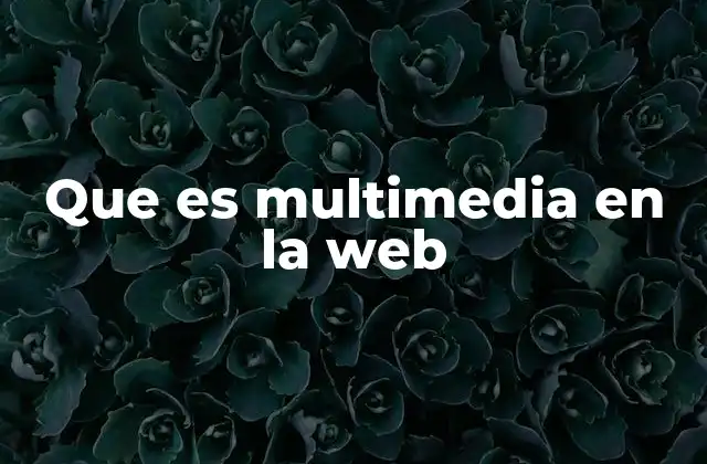 Que es Multimedia en la Web