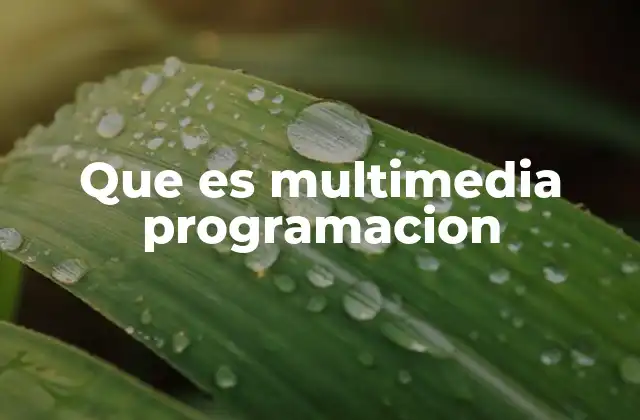 Que es Multimedia Programacion