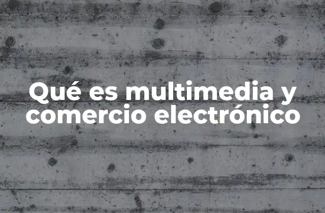 Qué es Multimedia y Comercio Electrónico
