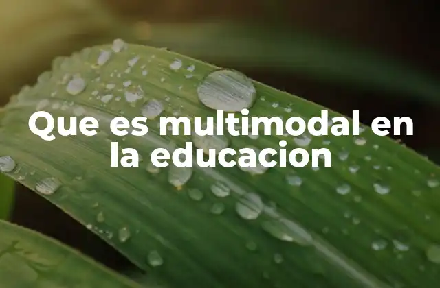 Que es Multimodal en la Educacion
