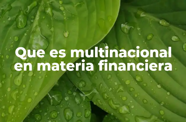 Que es Multinacional en Materia Financiera 2 La gestión financiera en empresas con presencia global