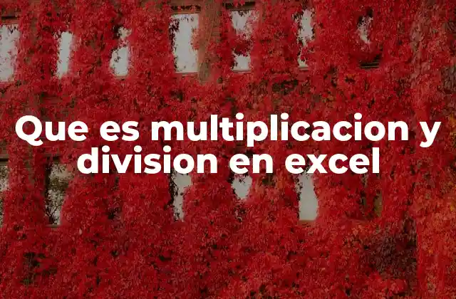 Que es Multiplicacion y Division en Excel