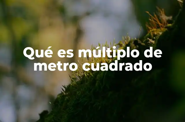 Qué es Múltiplo de Metro Cuadrado 2 La importancia de las unidades de superficie en la vida cotidiana