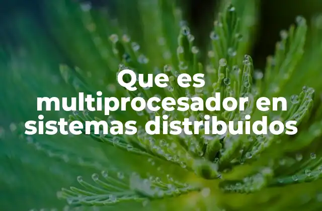 Que es Multiprocesador en Sistemas Distribuidos 2 Arquitectura y funcionamiento de los sistemas multiprocesadores en entornos distribuidos