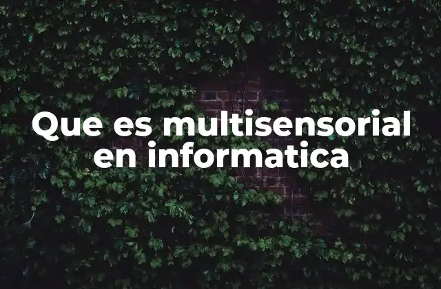 Que es Multisensorial en Informatica