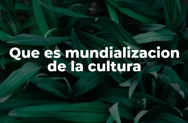 Que es Mundializacion de la Cultura