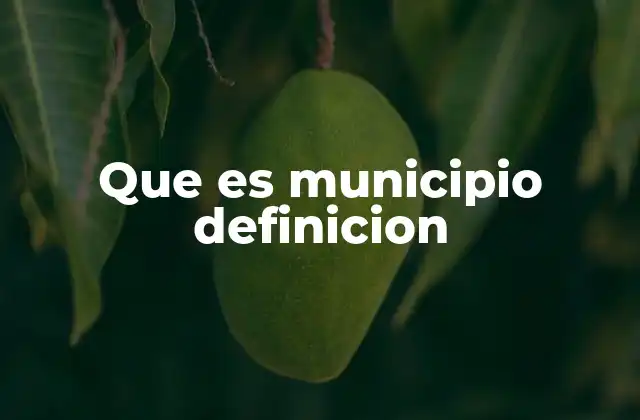 Que es Municipio Definicion