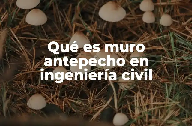 Qué es Muro Antepecho en Ingeniería Civil