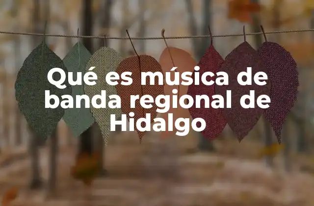 Qué es Música de Banda Regional de Hidalgo