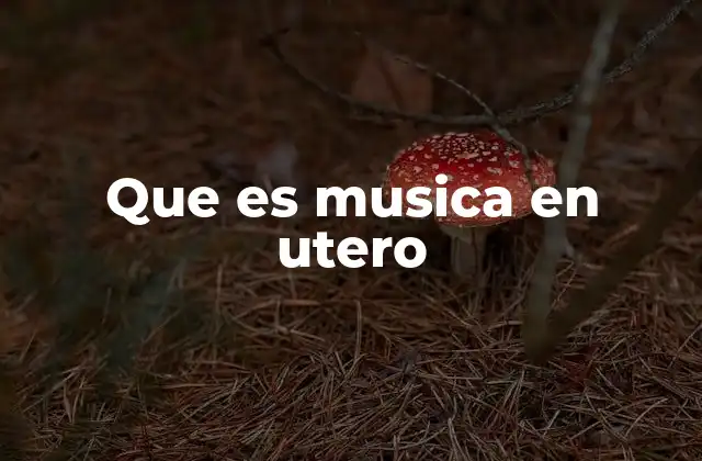 Que es Musica en Utero