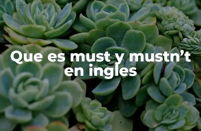 Que es Must y Mustn’t en Ingles