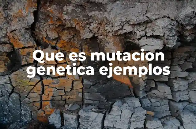 Que es Mutacion Genetica Ejemplos 2 Tipos de mutaciones genéticas