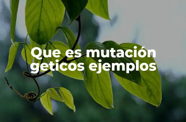 Que es Mutación Geticos Ejemplos