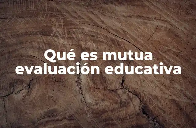 Qué es Mutua Evaluación Educativa