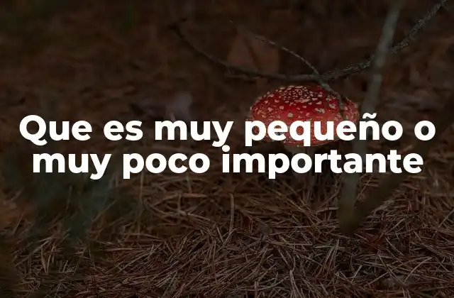 Que es Muy Pequeño o Muy Poco Importante 2 La percepción de lo insignificante en el contexto social