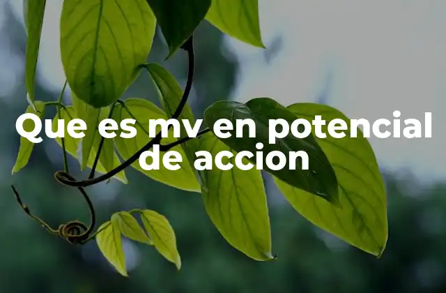 Que es Mv en Potencial de Accion