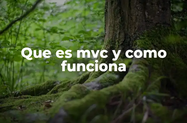 Que es Mvc y como Funciona