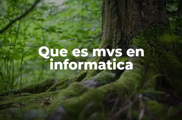 Que es Mvs en Informatica 2 El papel de MVS en sistemas mainframe